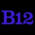 B12 company logo