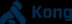 Kong company logo
