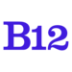 B12 company logo