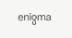 Enigma company logo